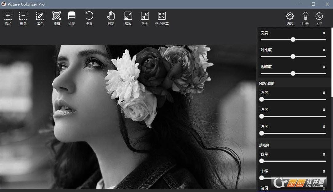 PictureColorizerPro破解版下载,破解补丁,图片一键上色软件.