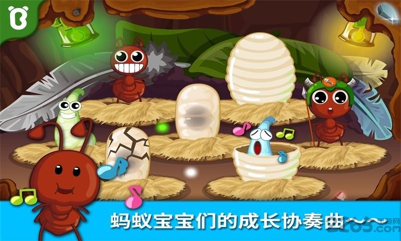 宝宝认蚂蚁小游戏下载,宝宝认蚂蚁,宝宝巴士,儿童游戏
