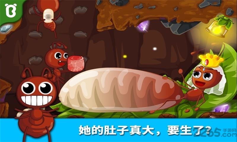 宝宝认蚂蚁小游戏下载,宝宝认蚂蚁,宝宝巴士,儿童游戏